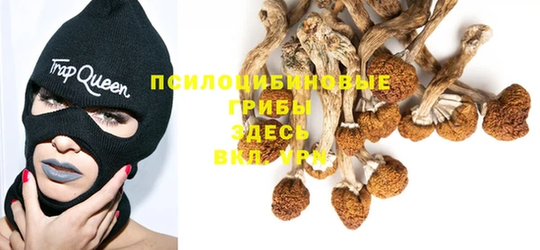 индика Белоозёрский