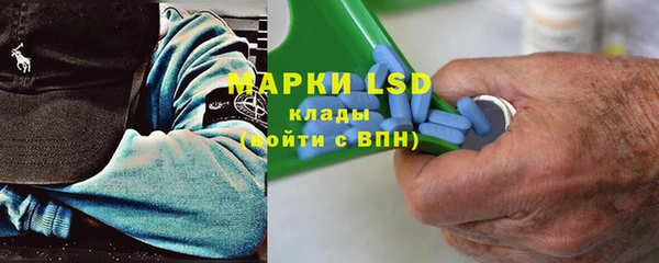 индика Белоозёрский