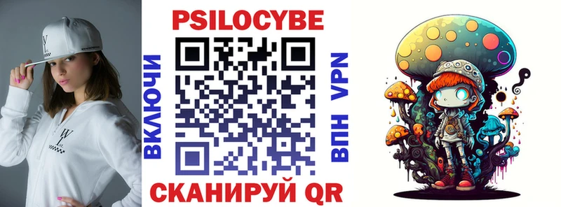 хочу Верхняя Пышма Галлюциногенные грибы Psilocybe