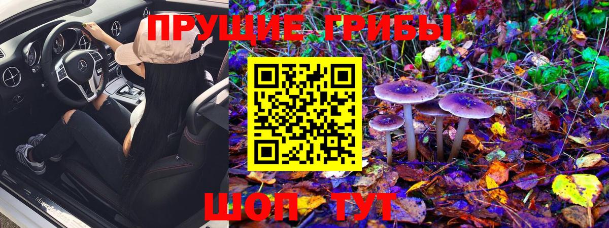 Псилоцибиновые грибы Psilocybe Верхняя Пышма