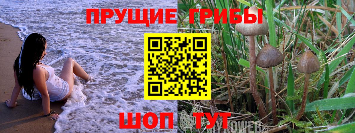 Галлюциногенные грибы MAGIC MUSHROOMS  магазин  наркотиков  Верхняя Пышма  Вход с VPN 